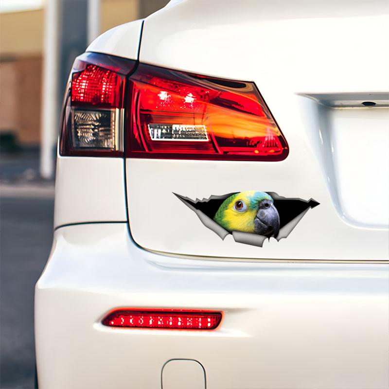 DK582 #   Mavi Önlü Amazon Pap - Car Accessories Amazon incelemesi ve fiyatı