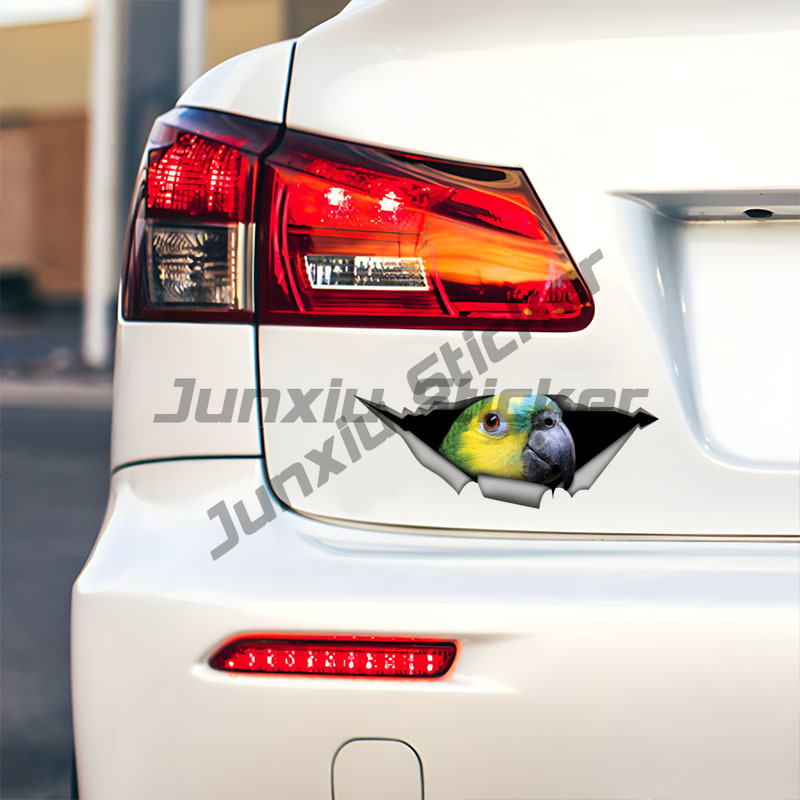 Mavi Önlü Amazon Papağanı Arab - Car Accessories Amazon incelemesi ve fiyatı