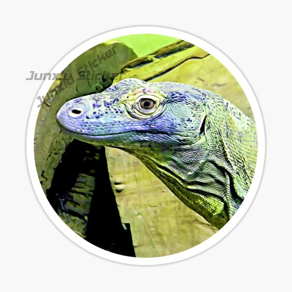 Komodo Milli Parkı Komodo Adas - Car Accessories Bali incelemesi ve fiyatı